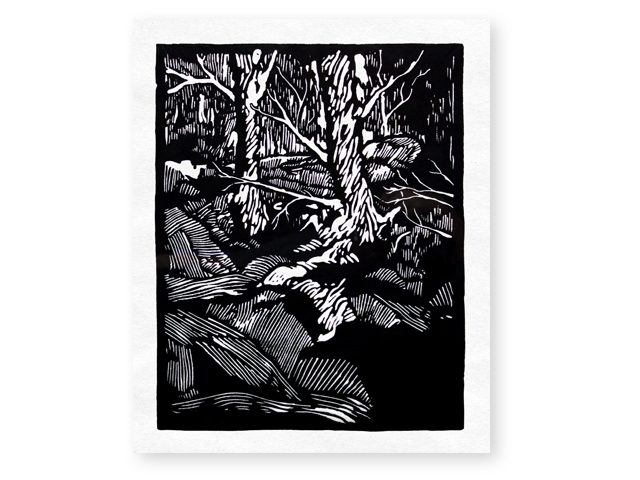 dark_woods